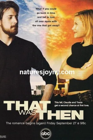 Постер к сериалу Это было тогда (2002)