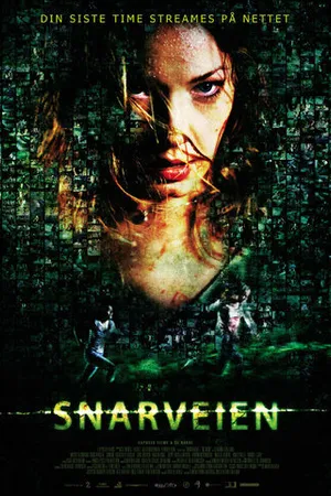 Постер к фильму Объезд (2009)