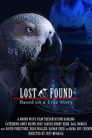 Постер к фильму 48 hour Lost & Found (2020 IV) (2020)