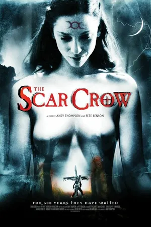 Постер к фильму Раненый ворон (2009)