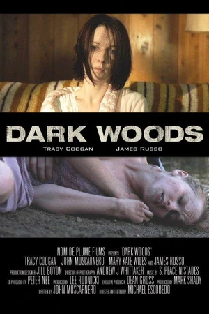Постер к фильму Тёмный лес (2010)