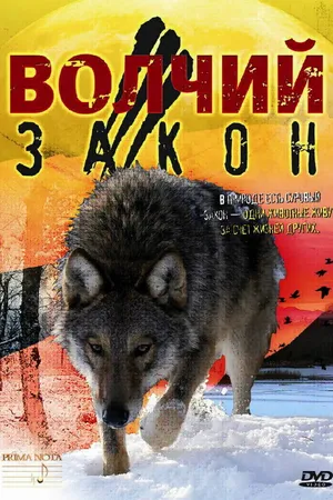 Постер к фильму Волчий закон (2008)