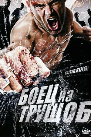 Постер к фильму Боец из трущоб (2010)