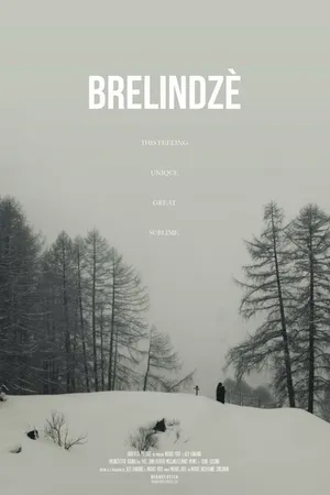 Постер к фильму Брелиндзе (2018)