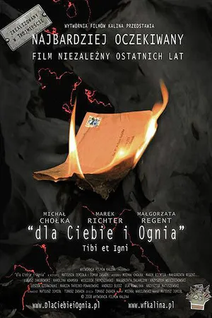 Постер к фильму Тебе и огню (2008)