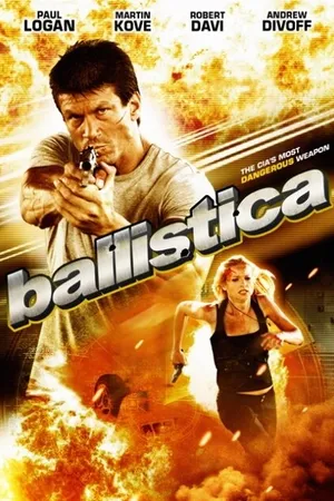 Постер к фильму Баллистика (2009)