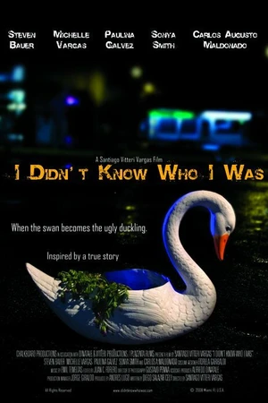 Постер к фильму I Didn't Know Who I Was (2008)