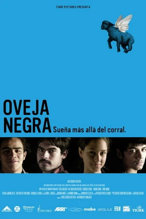 Постер к фильму Черная овца (2009)