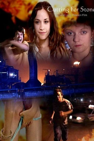 Постер к фильму Огранка камня (2008)