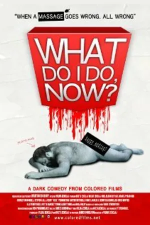 Постер к фильму What Do I Do Now? (2009)