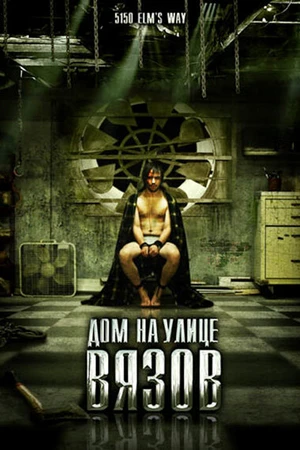 Постер к фильму Дом на улице Вязов (2009)