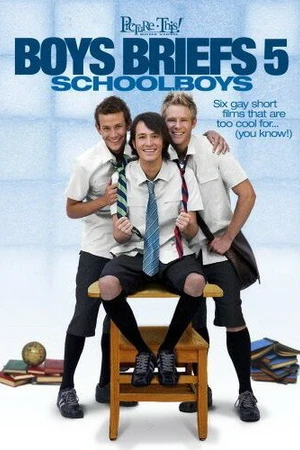 Постер к фильму Коротко о парнях 5 (2008)