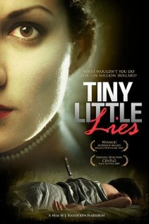Постер к фильму Tiny Little Lies (2008)