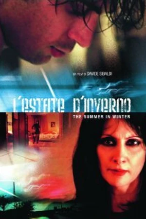 Постер к фильму Лето зимой (2008)