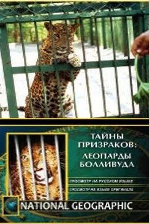 Постер к фильму НГО: Тайны призраков: Леопарды Болливуда (2002)