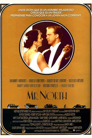 Постер к фильму Мистер Норт (1988)