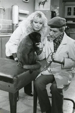Постер к сериалу Gloria (1982 - 1983)