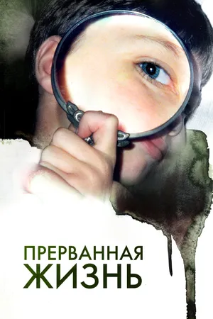 Постер к фильму Прерванная жизнь (2009)
