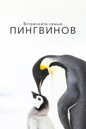 Постер к фильму Встречайте семью пингвинов (2020)