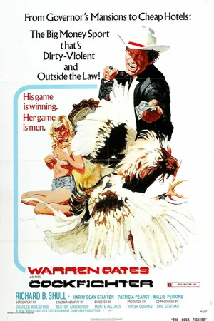 Постер к фильму Бойцовский петух (1974)