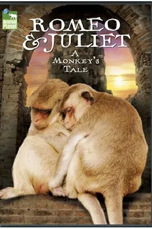 Постер к фильму Romeo & Juliet: A Monkey's Tale (2005)