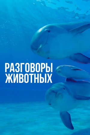Постер к сериалу Разговоры животных (2018)