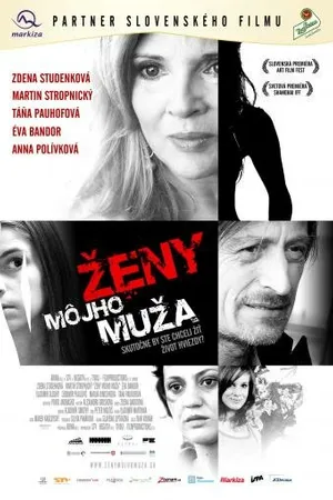 Постер к фильму Женщины моего мужа (2009)