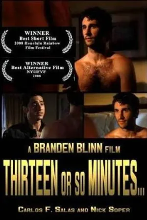Постер к фильму 13 минут или около того... (2008)