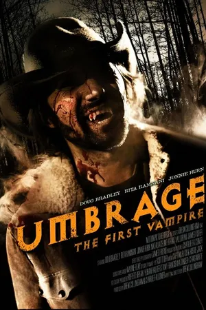 Постер к фильму Обида (2009)