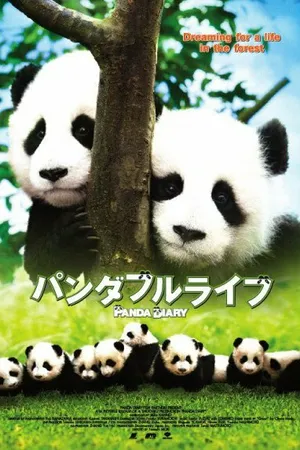 Постер к фильму Дневник панды (2008)