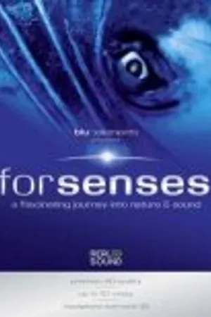 Постер к фильму Senses (2009)