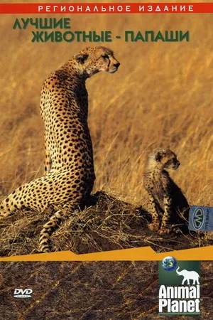 Постер к фильму Animal Planet: Лучшие животные-папаши (2004)
