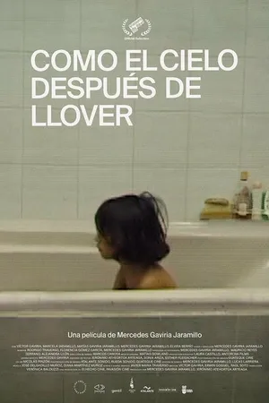 Постер к фильму Como el cielo después de llover (2020)