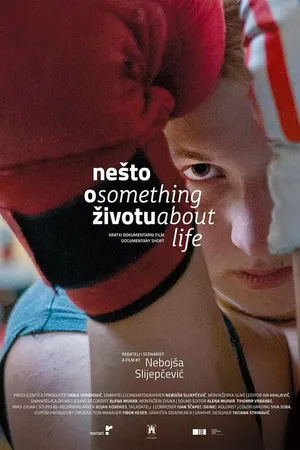 Постер к фильму Nesto o zivotu (2016)