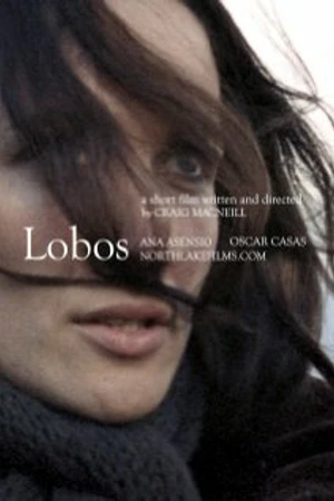 Постер к фильму Волки (2009)