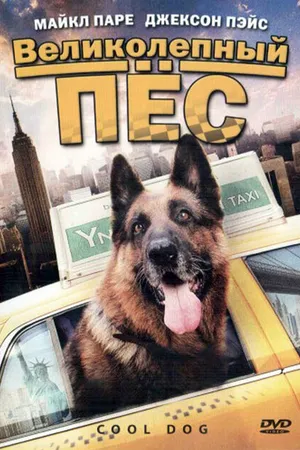Постер к фильму Великолепный пес (2010)
