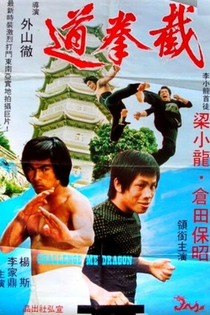 Постер к фильму Дерущийся дракон (1975)