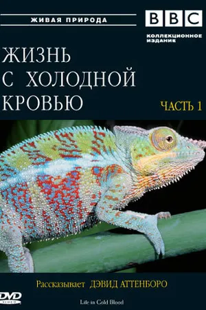 Постер к сериалу BBC: Жизнь с холодной кровью (2008)