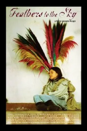 Постер к фильму Feathers to the Sky (2007)