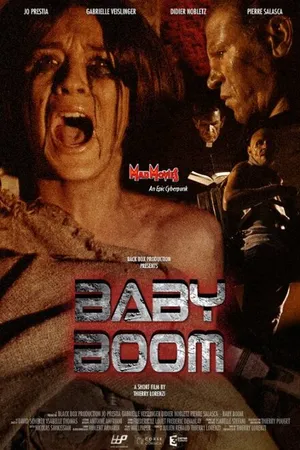 Постер к фильму Baby Boom (2009)