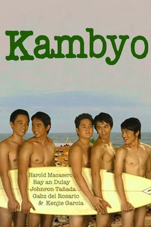 Постер к фильму Пульт (2008)