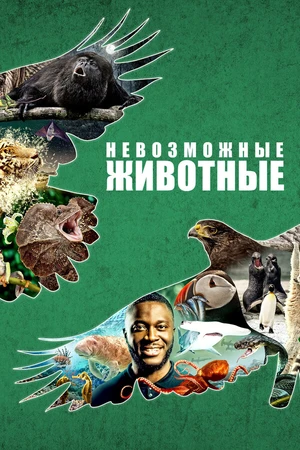 Постер к сериалу Невозможные животные (2021)