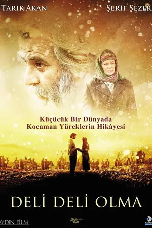 Постер к фильму Не сходи с ума (2009)