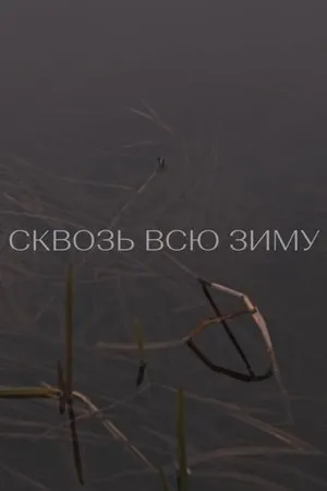 Постер к фильму Сквозь всю зиму (2020)