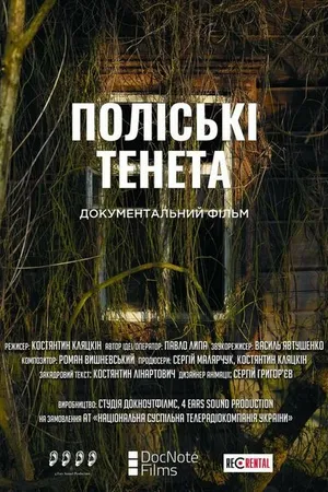 Постер к фильму Полесские сети (2021)