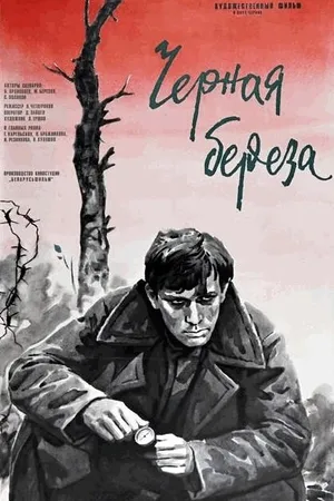 Постер к фильму Черная береза (1977)