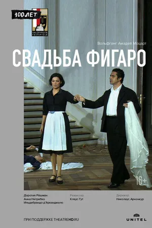 Постер к фильму Зальцбург-100: Свадьба Фигаро (2006)