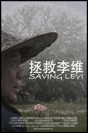 Постер к фильму Saving Levi (2009)