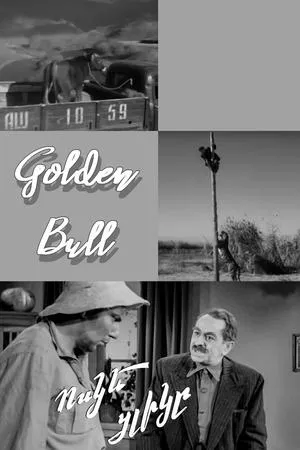 Постер к фильму Золотой бычок (1955)