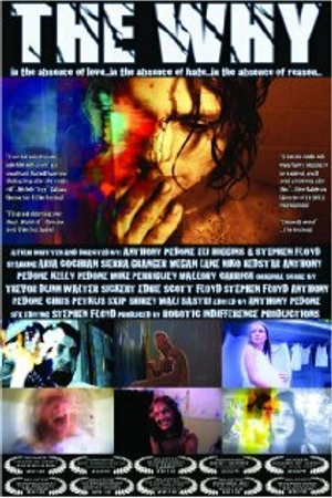 Постер к фильму Почему (2009)